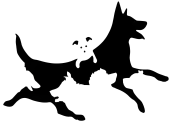 Задание на внимательность