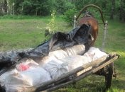 Украинец вез в Россию полтонны мяса на гужевой повозке