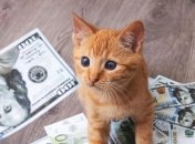 Овни, Близнюки та Раки розбагатіють до Нового року