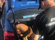 В порту Одессы обнаружили крупный арсенал патронов в авто