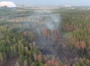 ГСЧС: В зоне отчуждения возле ЧАЭС проводится проливание лесной подстилки 