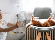 Почему вентилятор не охлаждает