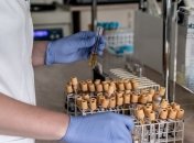 У Бельгії за добу зафіксували 241 смерть від коронавірусу