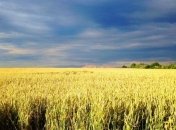 Державному Гімну - 17 років