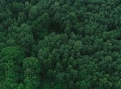 Ілюстрація