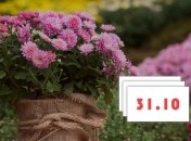 В народе отмечают праздник - Луков день, в честь памяти святого Луки