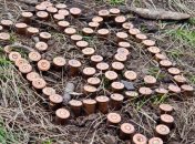 "Школьное перемирие": 25 обстрелов, погиб один украинский военный