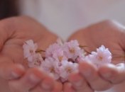 Отчего возникает сухость кожи рук