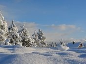 Google посвятил doodle дню зимнего солнцестояния (Фото)