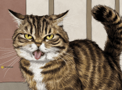 С ними лучше не ссориться