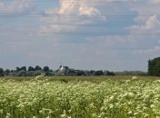 Полиция предотвратила хищение земли