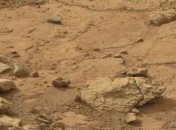 Что делает игуана на Марсе?