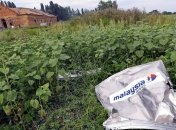 Голландские эксперты по Боингу начали следственную миссию на Донбассе