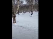 В России погиб лыжник, влетевший на повороте в дерево (видео)