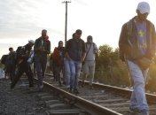 В бюджете ФРГ предусмотрено 8 млрд евро на прием беженцев