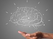 Позволит сэкономить время: ИИ научили диагностировать травмы мозга