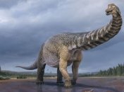 В Австралии ученые классифицировали новый вид динозавров-титанов "Australotitan cooperensis" (фото)