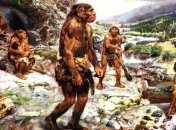 Стала известна новая гипотеза о происхождении человека 