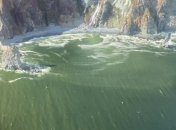 В Арктиці знайшли водорості, з яких можна робити бензин