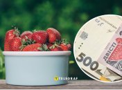 Ціни на полуницю