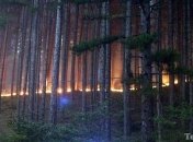 Свыше 40 лесных пожаров бушует в австралийском штате Квинсленд