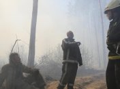 Геращенко о пожаре в зоне отчуждения: Изменения радиационного фона не наблюдаются