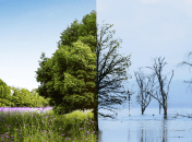 Две климатические зоны пересекаются на Днепре