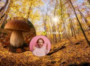 Білий гриб росте в українських лісах