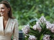 Ребенок Кейт Миддлтон не дает спать всей Британии  