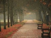 Осень: как не поддаться депрессии