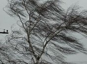 Синоптики объявили штормовое предупреждение на 27 ноября