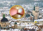 Зимове місто Лева