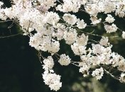 Погода на выходные: в каких регионах пройдут дожди 