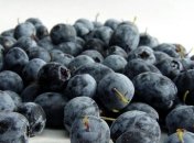 Голубика - ягода осени