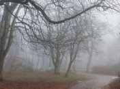 Утром стоит ждать тумана