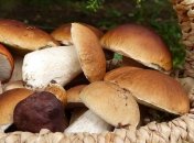 Врачи назвали продукт, замедляющий старение организма