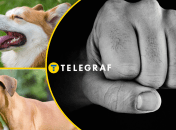 Иллюстративное фото