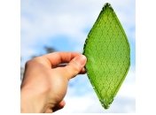 Разработан синтетический биологический лист