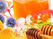 Сегодня отмечают День пасечника