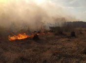 Ситуация с пожарами: Под Чернобылем и на Житомирщине до сих пор тушат очаги тления