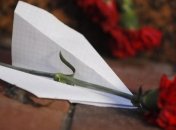 Случайное попадание: в Пентагоне допускают, что украинский самолет был сбит российской ракетой