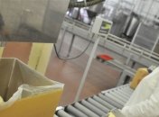 В Украине стали меньше производить сливочного масла