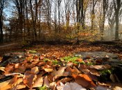 Яке сьогодні свято — Осінні Кузьминки