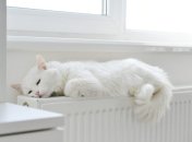 Утеплення житла: що обов’язково треба зробити до настання холодів