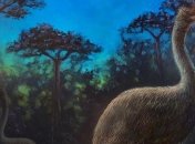 Ученые сделали еще одно заявление относительно величайших птиц на Земле 