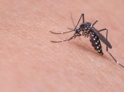 Китайские ученые почти полностью уничтожили самого опасного в мире комара