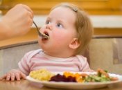 17-й месяц жизни ребенка