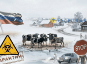 В некоторых округах ввели карантин