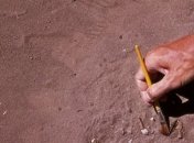 Археологи уличили древних европейцев в поедании кошек и собак