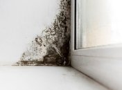 Благодаря этим лайфхакам, вы забудете о плесени